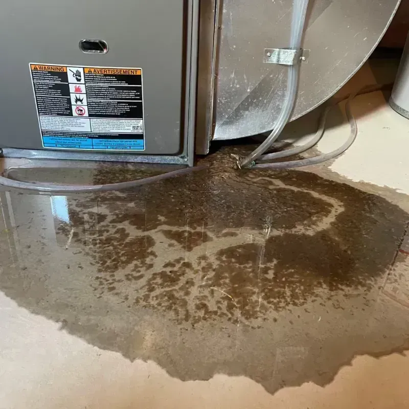 Appliance Leak Cleanup in Arcola, IL